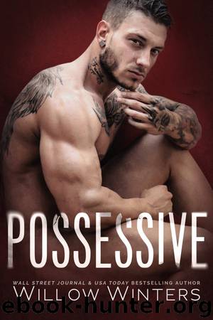 Possessive by Willow Winters