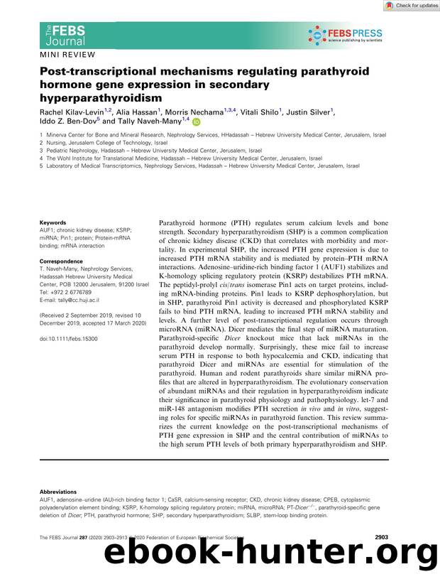 Postâtranscriptional mechanisms regulating parathyroid hormone gene expression in secondary hyperparathyroidism by Unknown