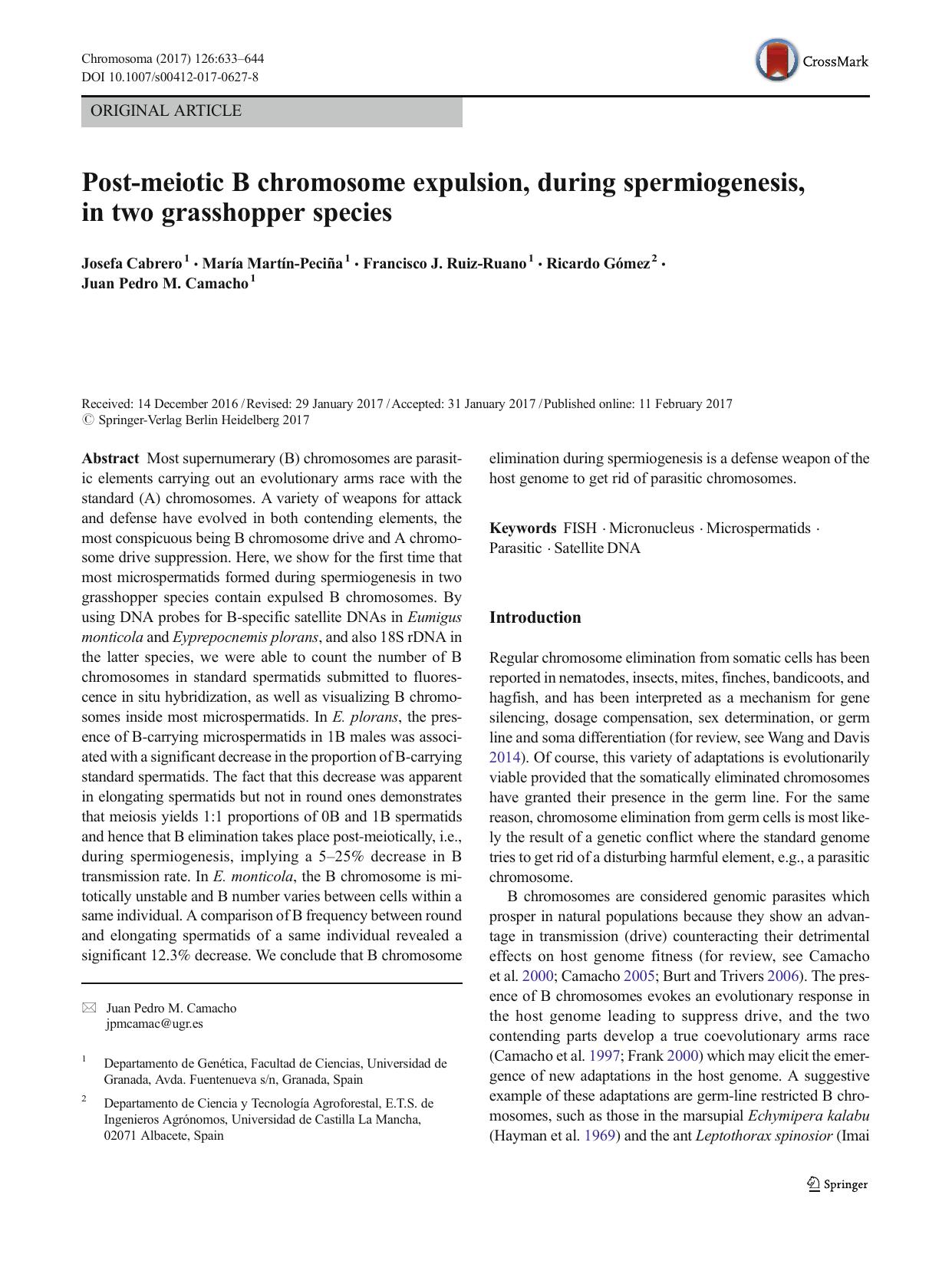 Post-meiotic B chromosome expulsion, during spermiogenesis, in two grasshopper species by unknow
