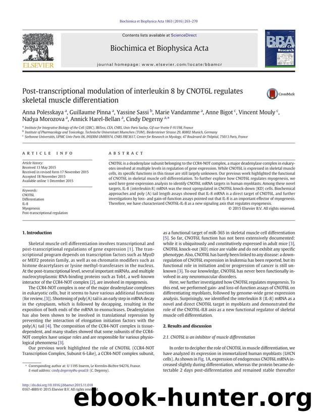 Post-transcriptional modulation of interleukin 8 by CNOT6L regulates skeletal muscle differentiation by unknow