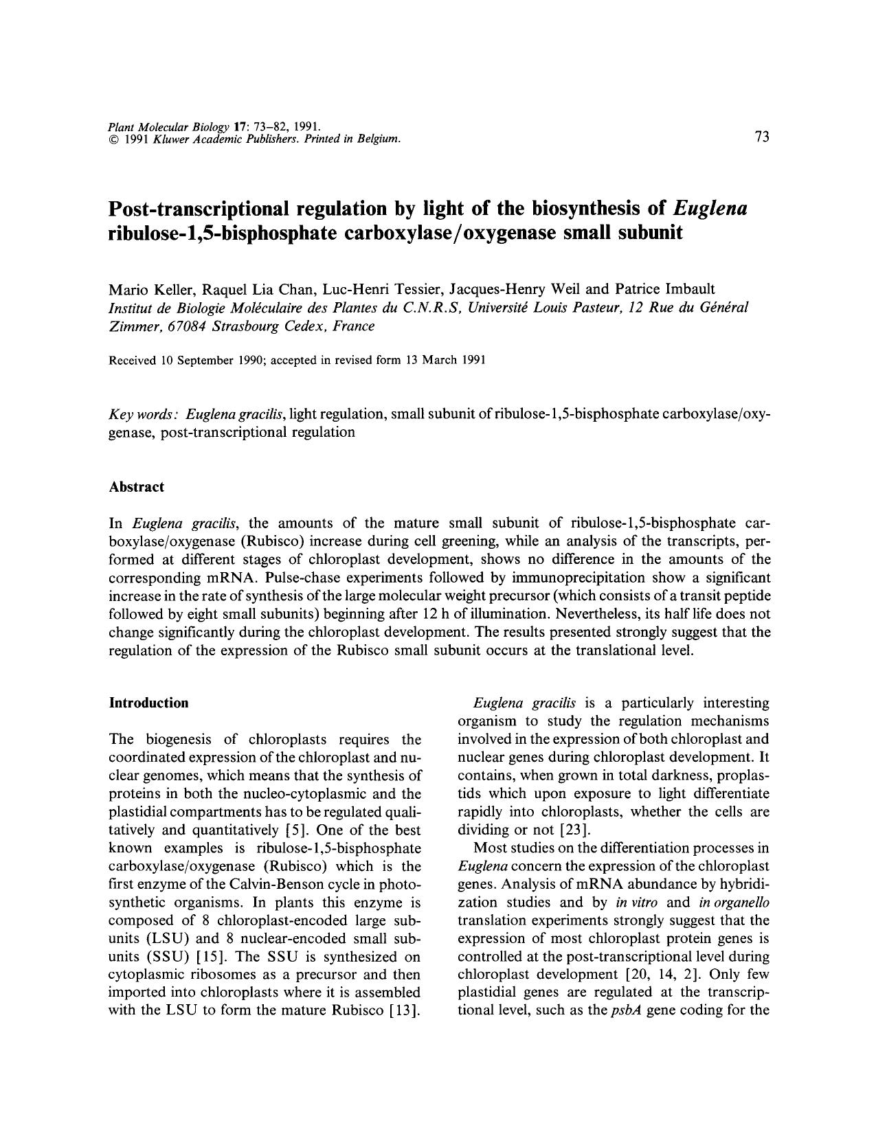 Post-transcriptional regulation by light of the biosynthesis of <Emphasis Type="Italic">Euglena <Emphasis> ribulose-1,5-bisphosphate carboxylaseoxygenase small subunit by Unknown