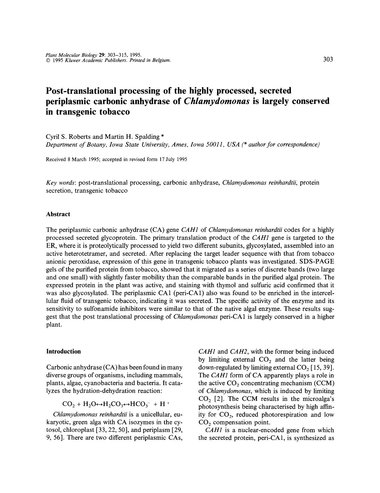 Post-translational processing of the highly processed, secreted periplasmic carbonic anhydrase of <Emphasis Type="Italic">Chlamydomonas <Emphasis> is largely conserved in transgenic tobacco by Unknown