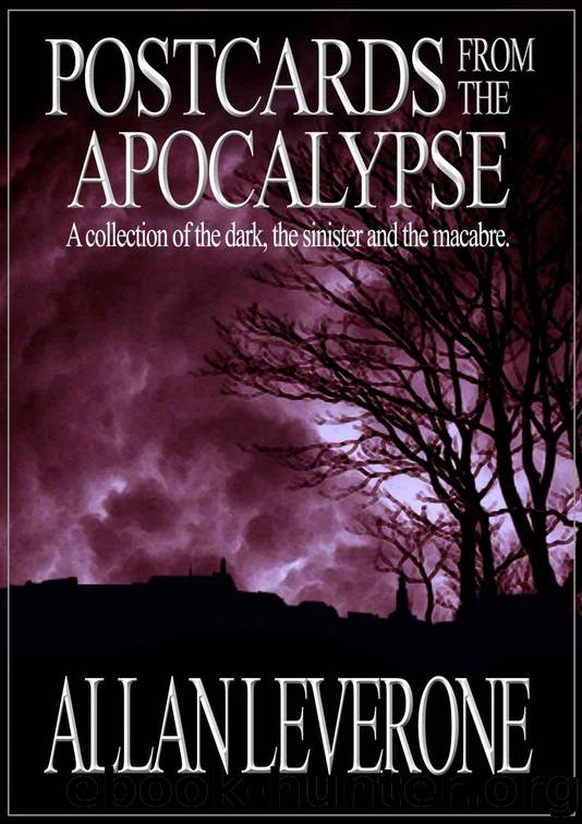 Postcards from the Apocalypse by Leverone Allan
