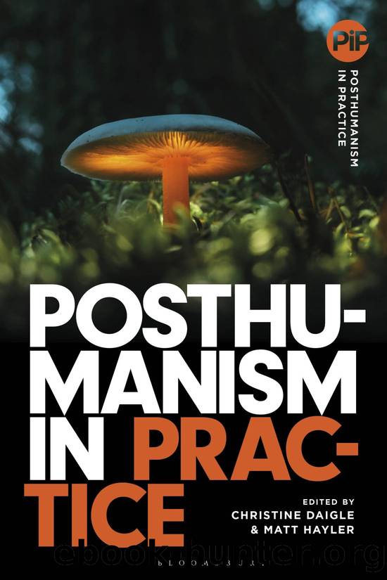 Posthumanism in Practice by Christine Daigle;Matthew Hayler;