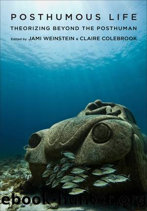 Posthumous Life by Weinstein Jami;Colebrook Claire;
