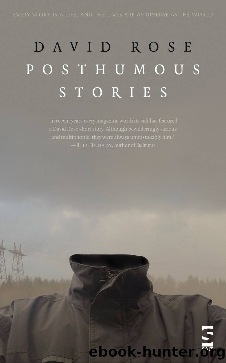 Posthumous Stories by David Rose