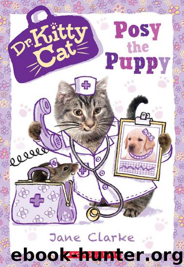 Posy the Puppy (Dr. KittyCat #1) by Jane Clarke