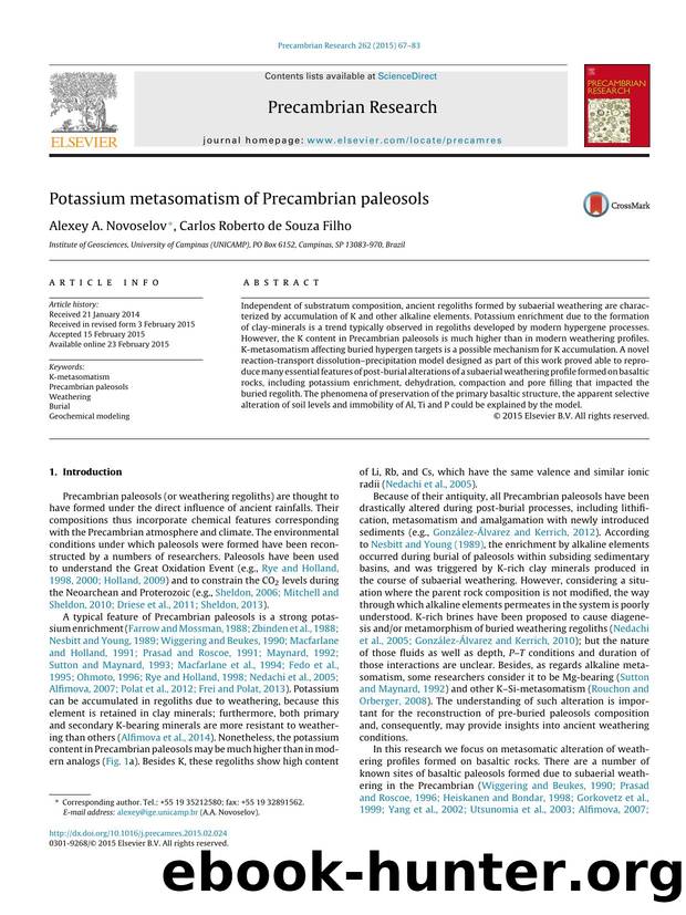 Potassium metasomatism of Precambrian paleosols by Alexey A. Novoselov & Carlos Roberto de Souza Filho