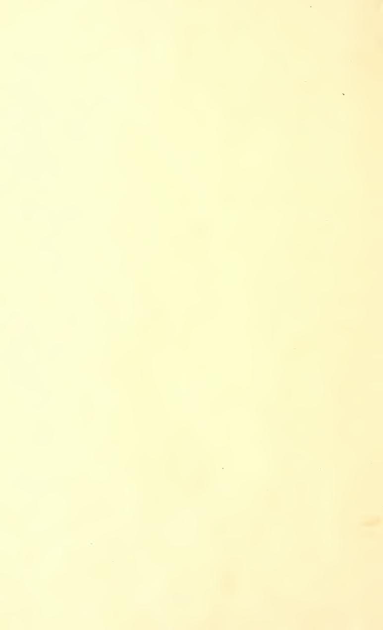 Potato breeding and selection by Stuart William 1865-
