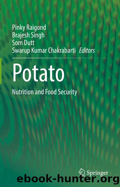 Potato by Unknown