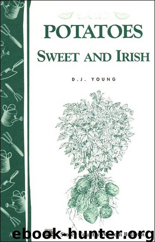 Potatoes, Sweet & Irish by D. J. Young