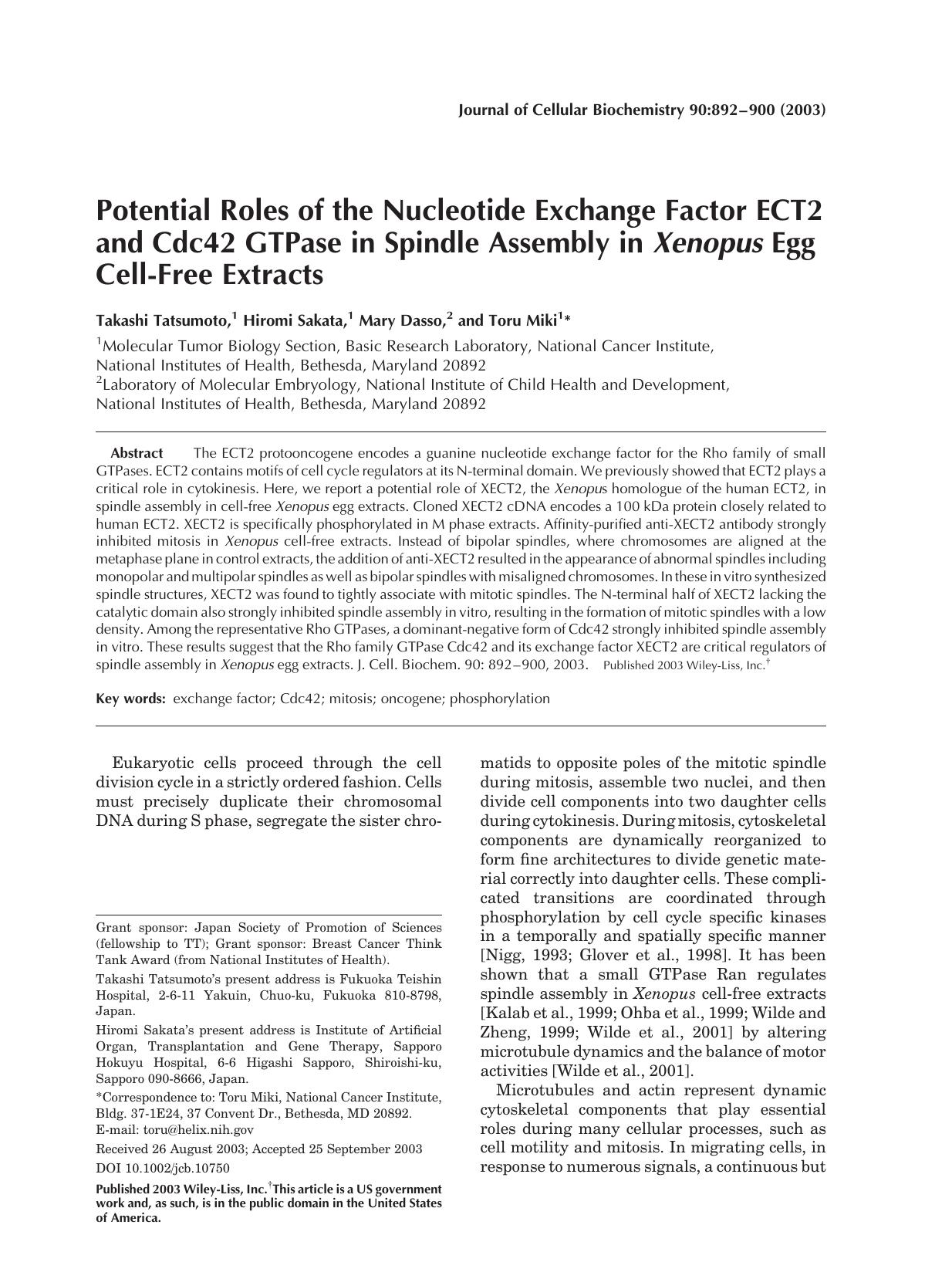 Potential roles of the nucleotide exchange factor ECT2 and Cdc42 GTPase in spindle assembly in Xenopus egg cell-free extracts by Unknown