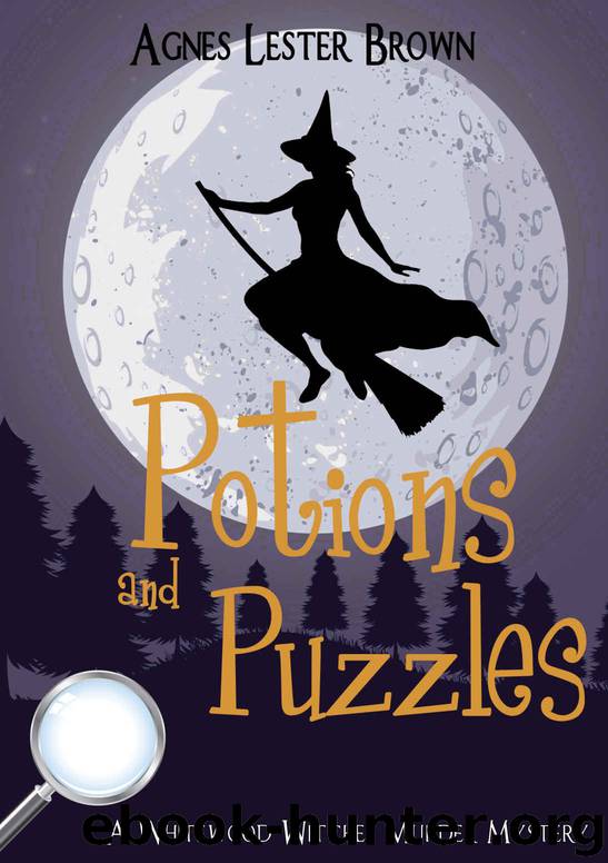 Potions and Puzzles by Agnes Lester Brown