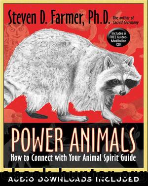 Power Animals: How to Connect with Your Animal Spirit Guide by Steven D. Farmer