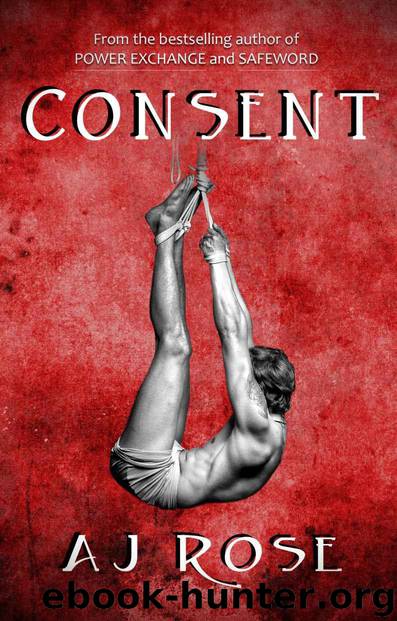 Power Exchange 03 - Consent by AJ Rose
