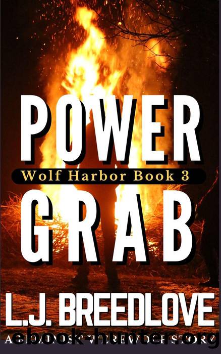 Power Grab by L.J. Breedlove