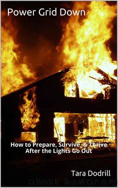 Power Grid Down: How to Prepare, Survive, & Thrive After the Lights Go Out by Tara Dodrill