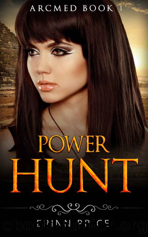 Power Hunt by Erinn Price