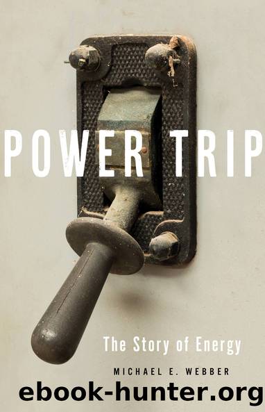 Power Trip by Webber Michael E.;