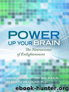 Power Up Your Brain by Perlmutter David & Villoldo Alberto