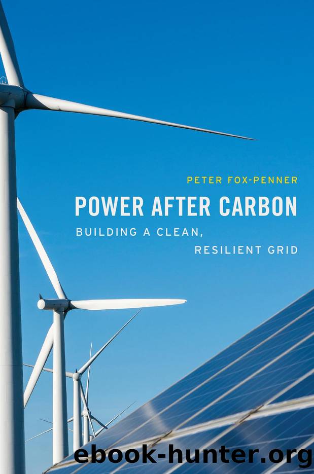 Power after Carbon by Peter Fox-Penner