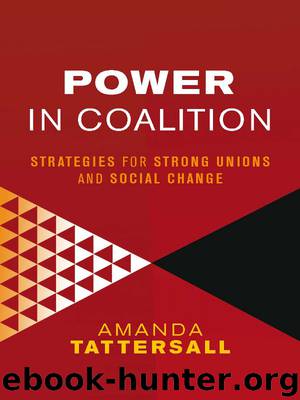 Power in Coalition by Amanda; Tattersall
