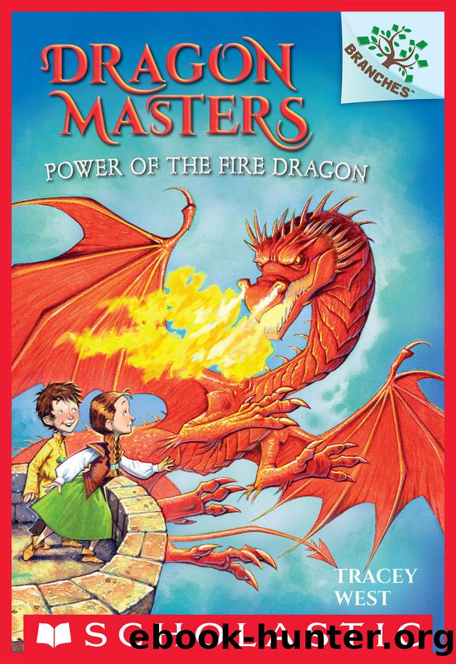 Power of the Fire Dragon by Tracey West