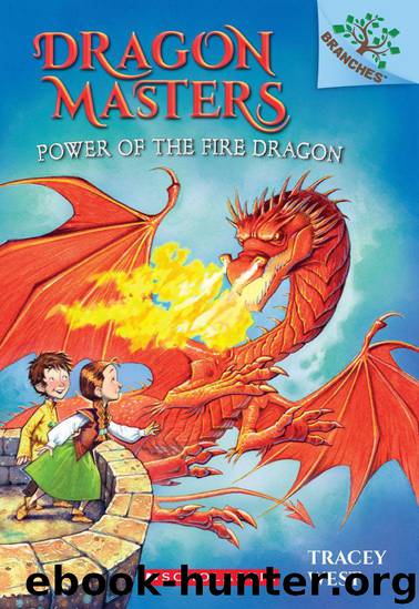 Power of the Fire Dragon: A Branches Book (Dragon Masters #4) by West Tracey