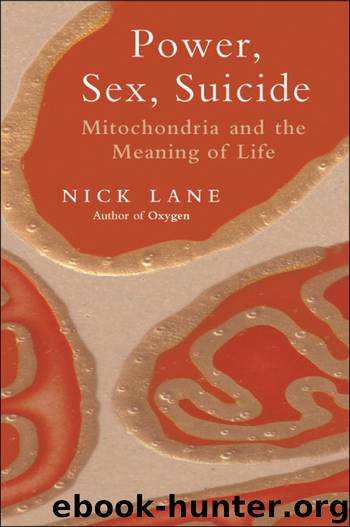 Power, Sex, Suicide by Lane Nick