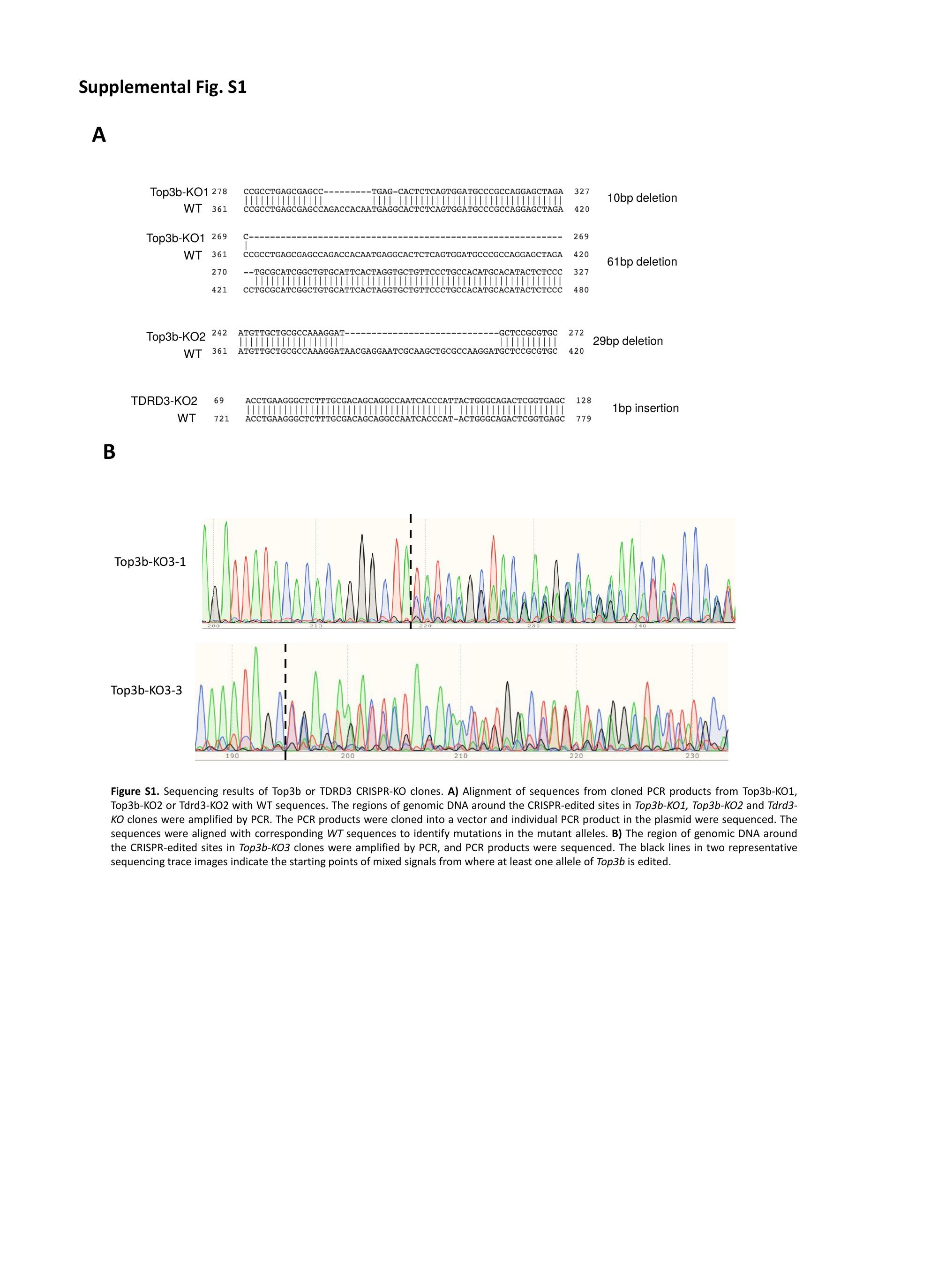 PowerPoint Presentation by Zhang Tianyi (NIH/NIA/IRP)