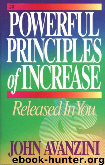 Powerful Principles of Increase by John Avanzini