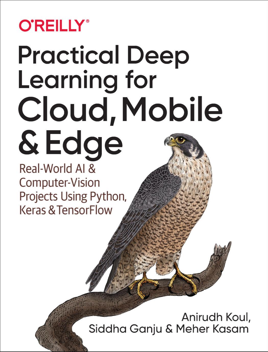 Practical Deep Learning for Cloud, Mobile, and Edge: Real-World AI & Computer-Vision Projects Using Python, Keras & TensorFlow by Anirudh Koul Siddha Ganju Meher Kasam