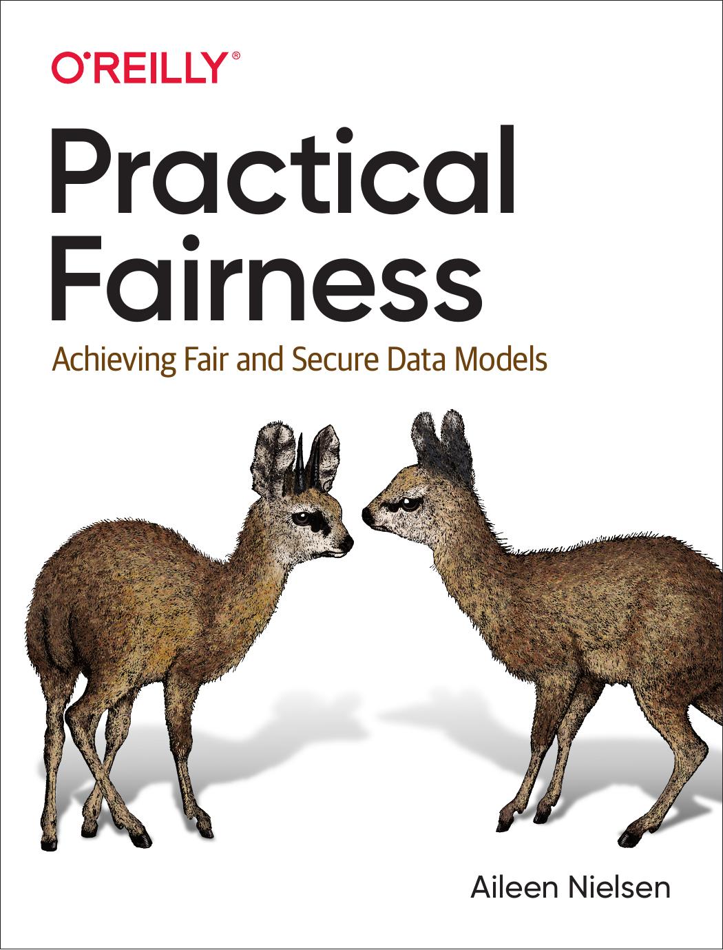 Practical Fairness by Aileen Nielsen