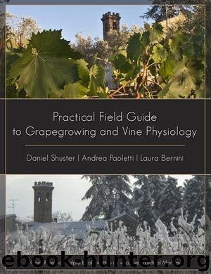 Practical Field Guide to Grapegrowing and Vine Physiology by Schuster Daniel & Paoletti Andrea & Bernini Laura