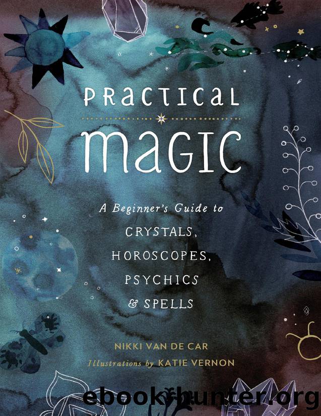 Practical Magic by Nikki Van De Car