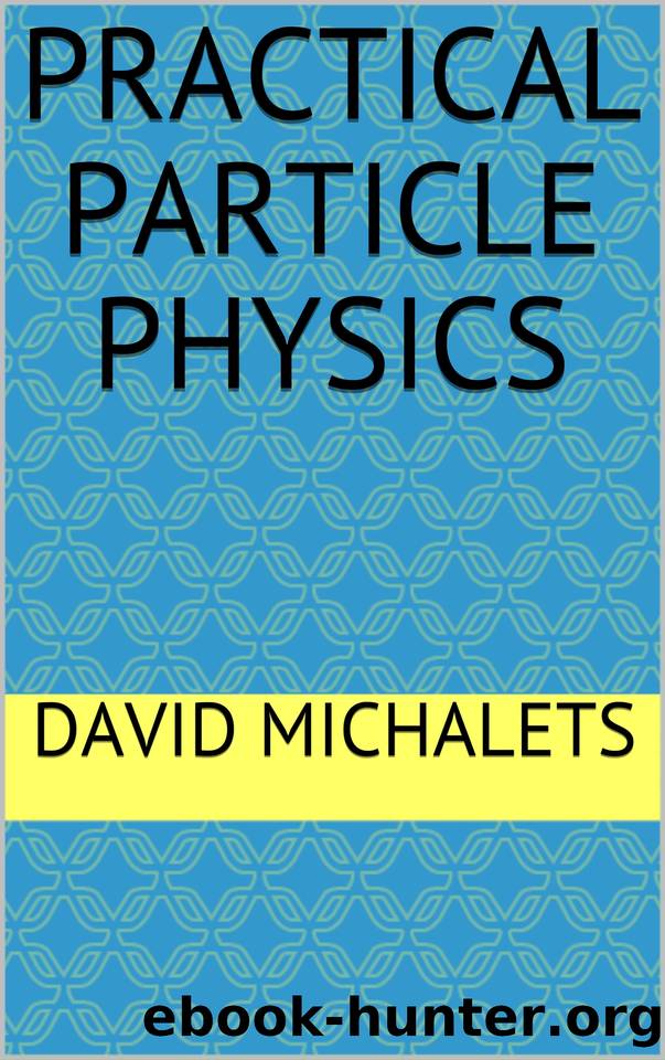 Practical Particle Physics by Michalets David