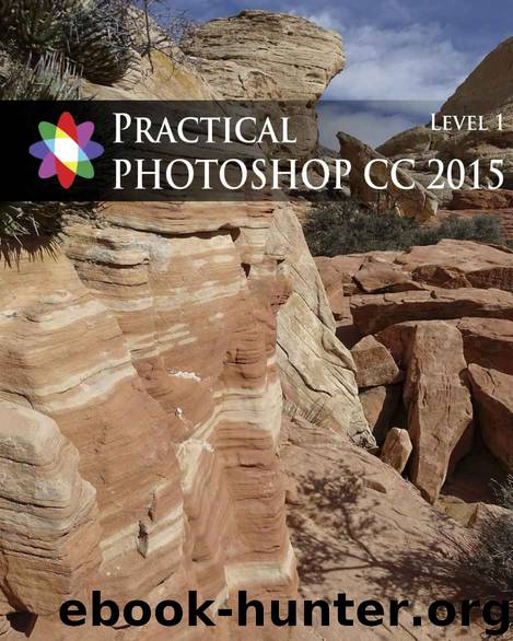 Practical Photoshop 2015 Level 1 by Donald Laird & Barbara Heiman
