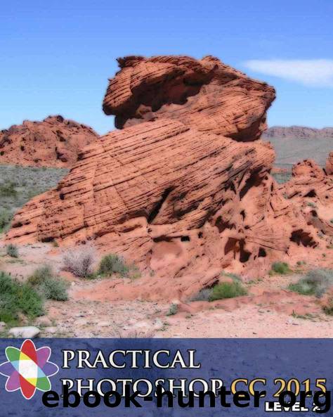 Practical Photoshop CC 2015 Level 2 by Donald Laird & Barbara Heiman