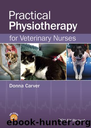Practical Physiotherapy for Veterinary Nurses by Carver Donna;