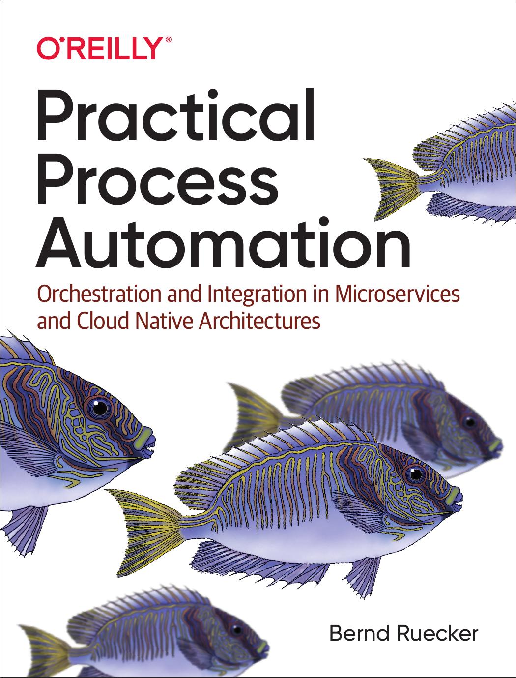Practical Process Automation: Orchestration and Integration in Microservices and Cloud Native Architectures by Bernd Ruecker