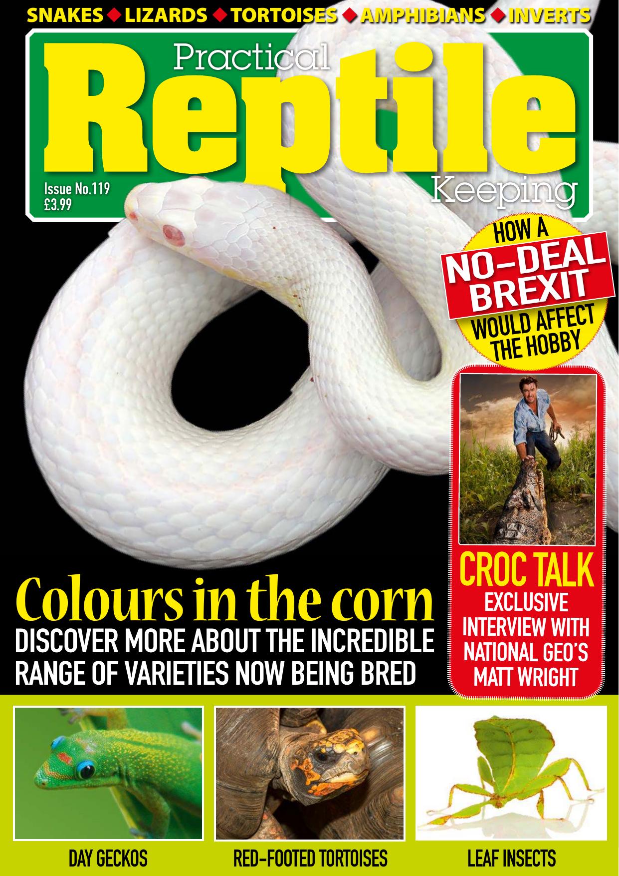 Practical Reptile Keeping - Issue 124 - April 2020 by Unknow