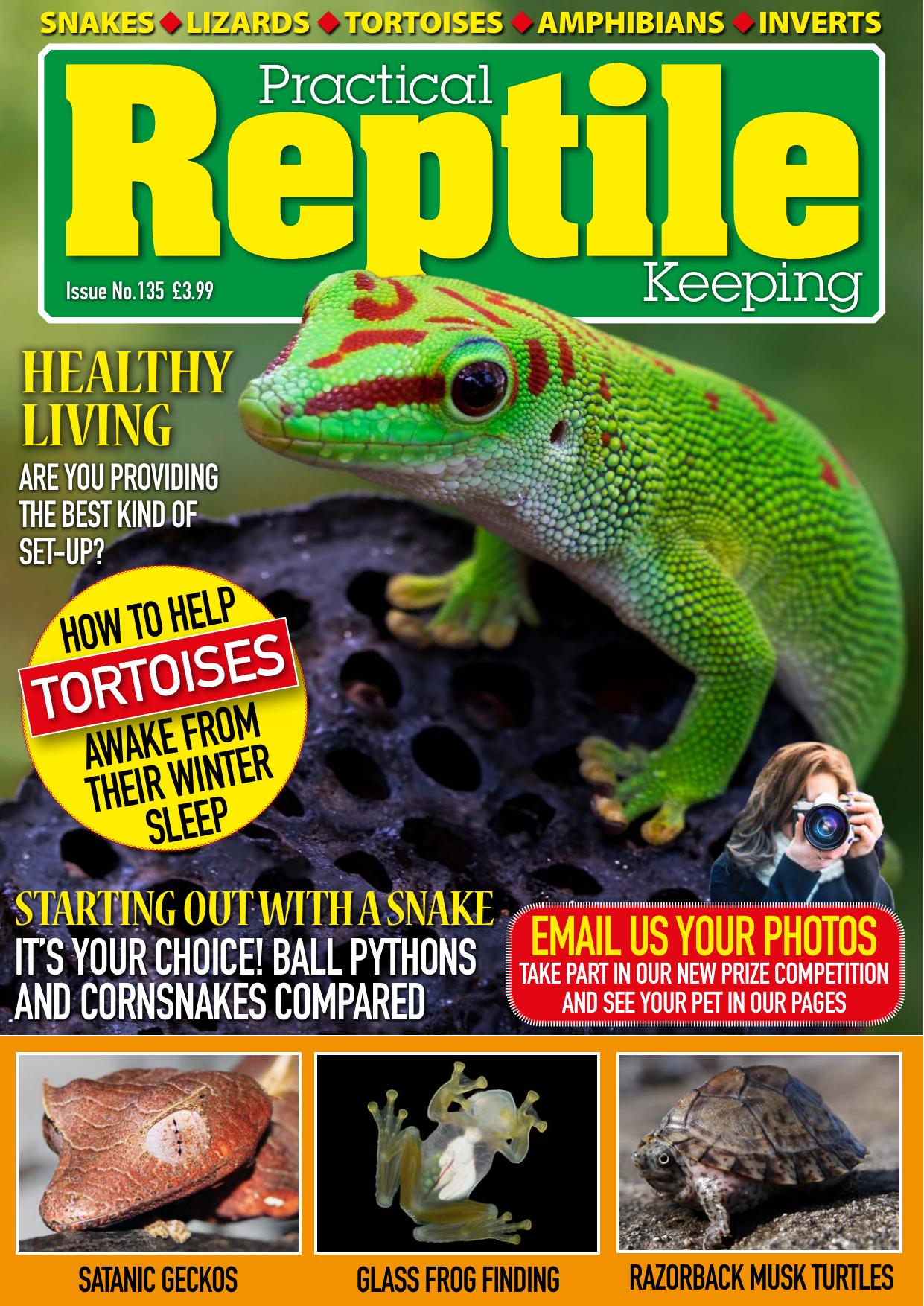 Practical Reptile Keeping - Issue 135 - February 2021 by Unknow