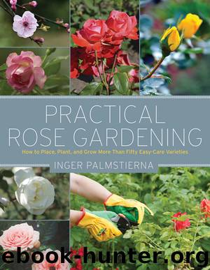 Practical Rose Gardening: How to Place, Plant, and Grow More Than Fifty Easy-Care Varieties by Inger Palmstierna