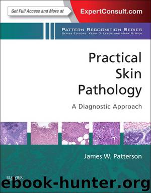 Practical Skin Pathology: A Diagnostic Approach by Patterson James W