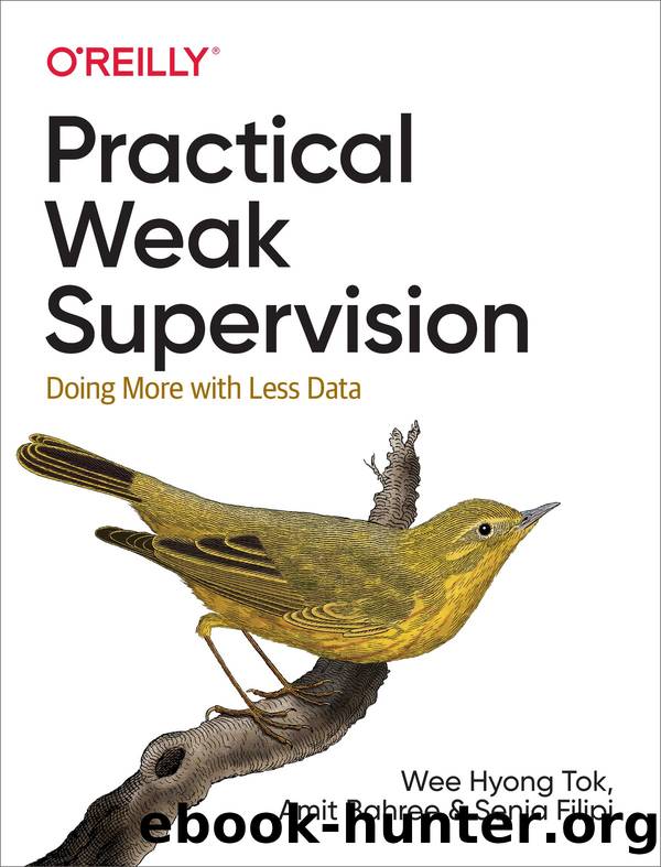 Practical Weak Supervision by Wee Hyong Tok