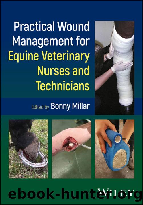 Practical Wound Management for Equine Veterinary Nurses and Technicians by Bonny Millar