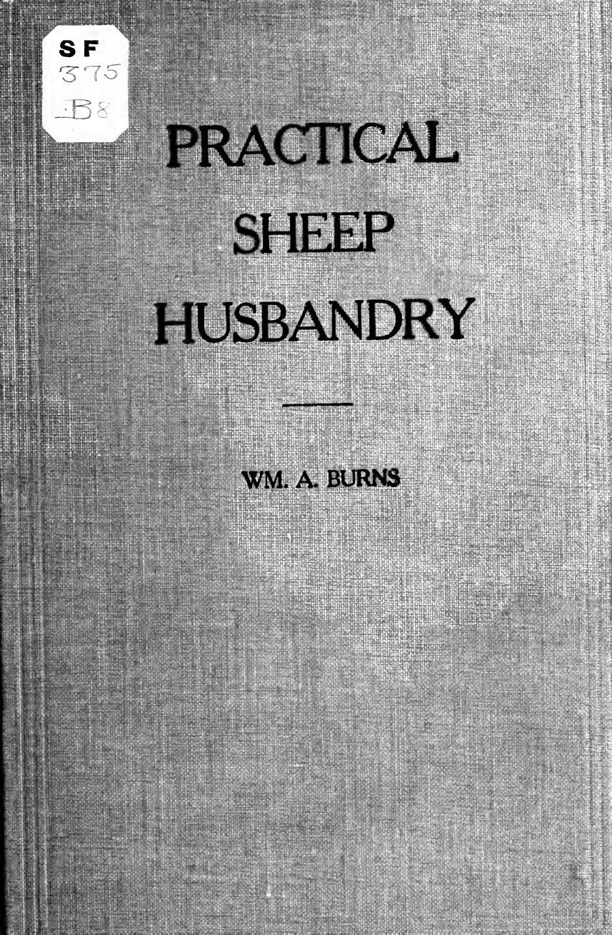 Practical sheep husbandry by Burns William A