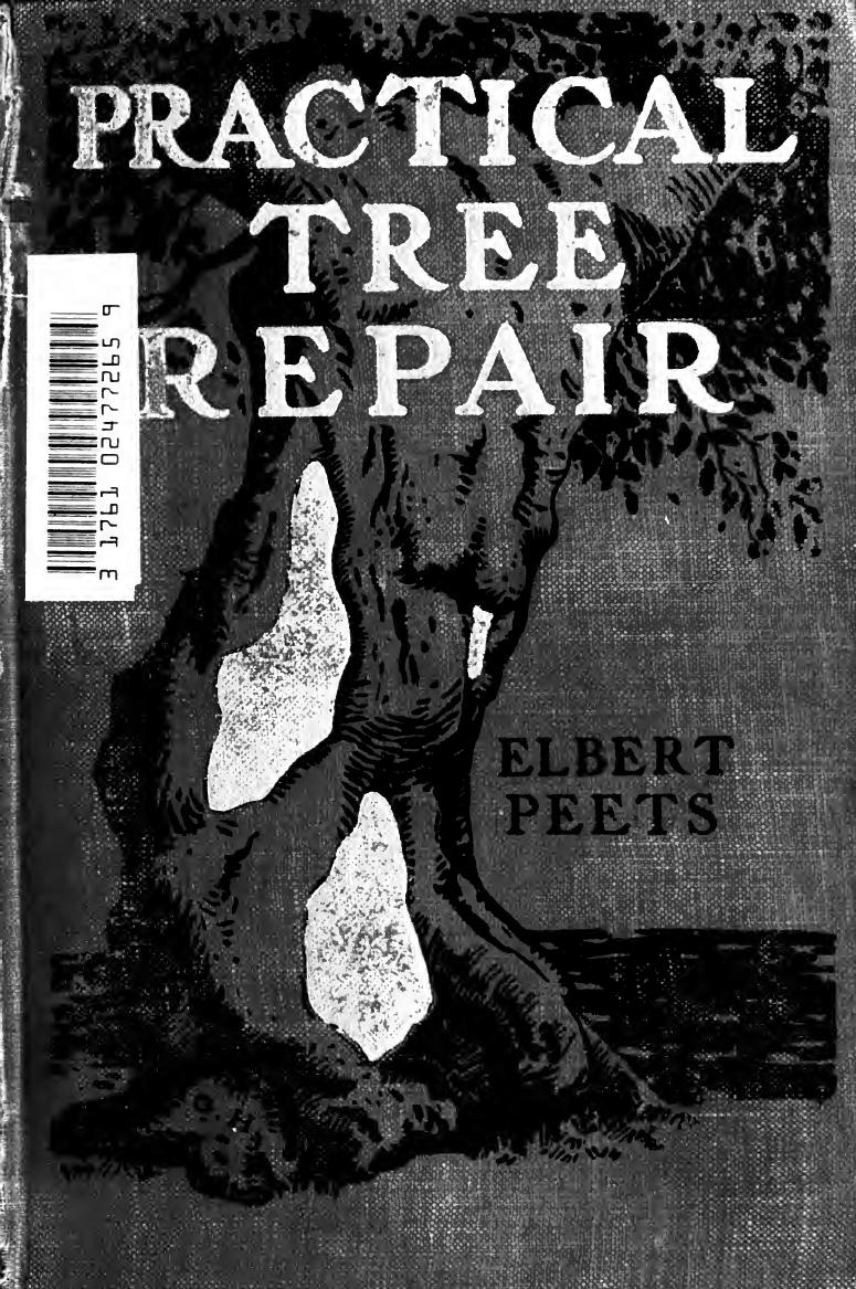 Practical tree repair; the physical repair of trees; bracing and the treatment of wounds and cavities by Peets Elbert 1886-