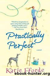 Practically Perfect by Katie Fforde