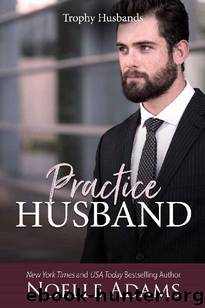 Practice Husband (Trophy Husbands #2) by Noelle Adams